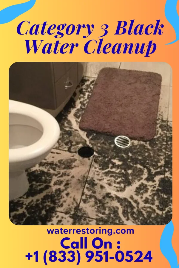Category 3 Black Water Cleanup in Obetz, OH