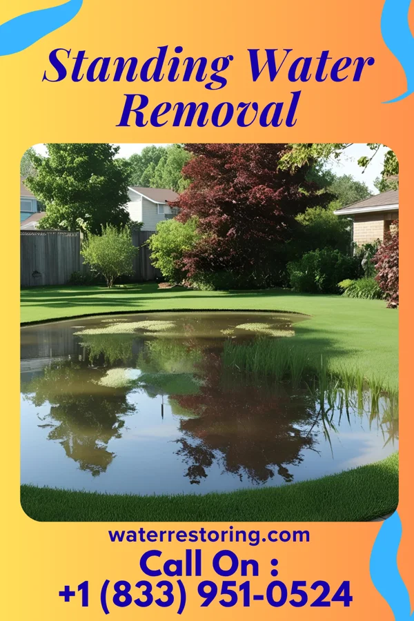Standing Water Removal in Obetz, OH
